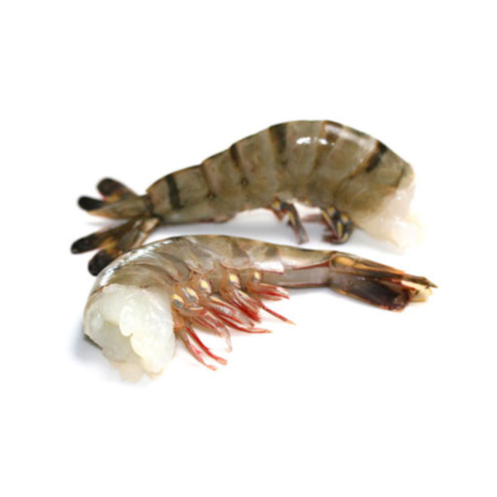 Black Tiger Shrimp