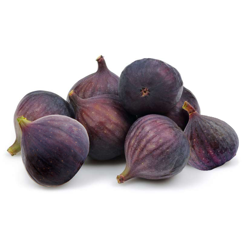 Fig