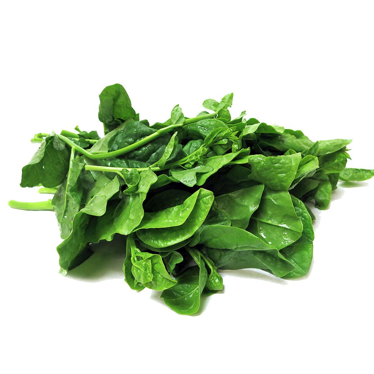 Spinach Cut